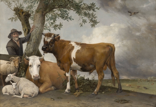Potter Bull.jpg